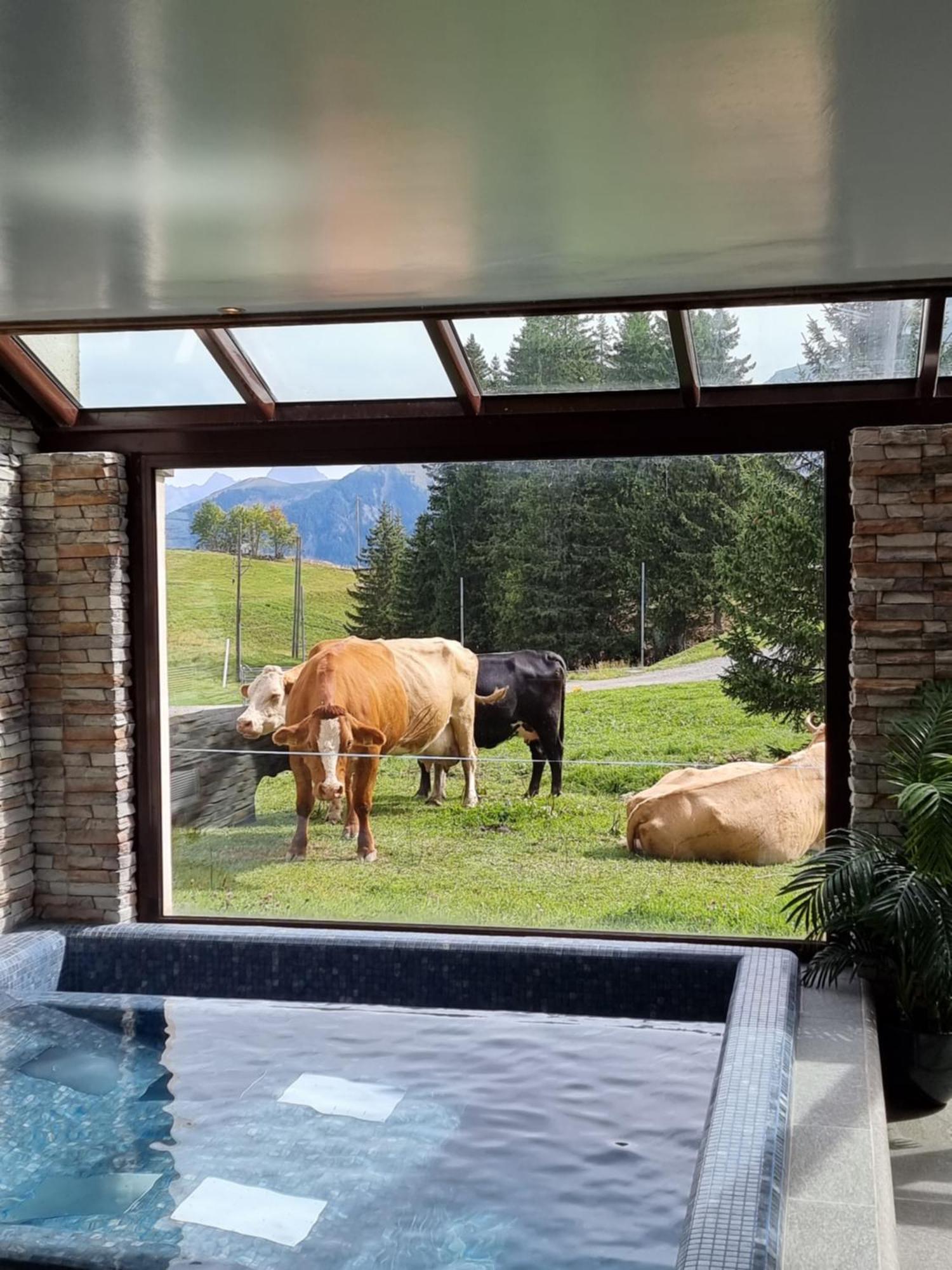 Mountain Lodge, Les Crosets Eksteriør billede